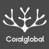 Coralglobal珊瑚跨境收款